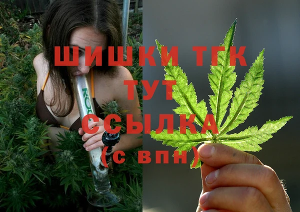 ГАЛЛЮЦИНОГЕННЫЕ ГРИБЫ Абаза