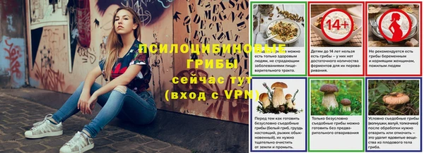ГАЛЛЮЦИНОГЕННЫЕ ГРИБЫ Абаза