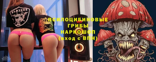 ГАЛЛЮЦИНОГЕННЫЕ ГРИБЫ Абаза