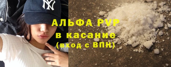 ГАЛЛЮЦИНОГЕННЫЕ ГРИБЫ Абаза