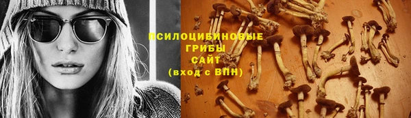 ГАЛЛЮЦИНОГЕННЫЕ ГРИБЫ Абаза