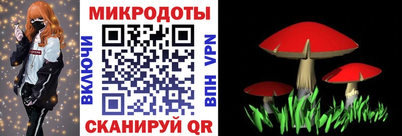 Псилоцибиновые грибы прущие грибы Новокубанск