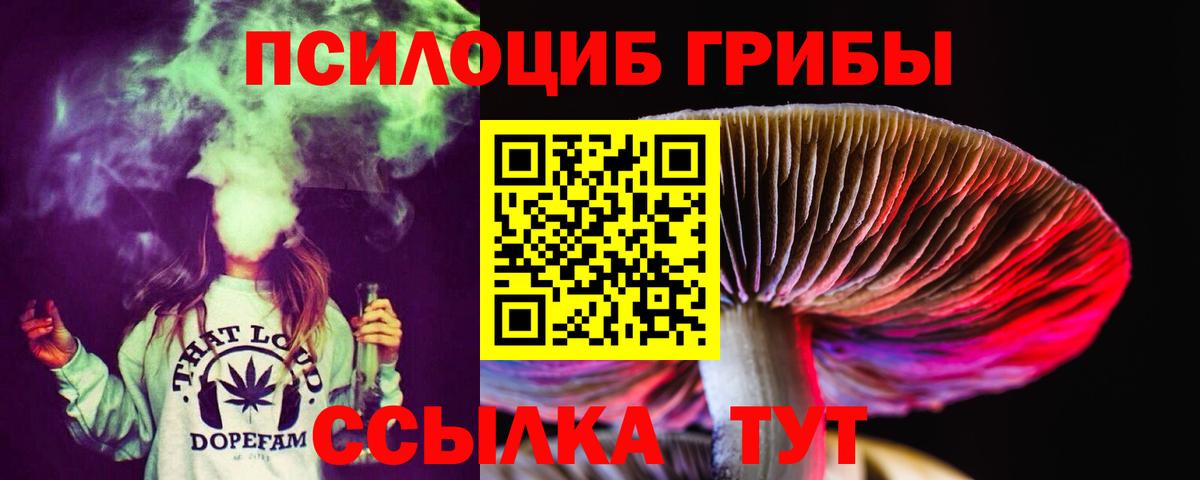 дарнет шоп  Вход с VPN  Новокубанск  Галлюциногенные грибы Magic Shrooms 