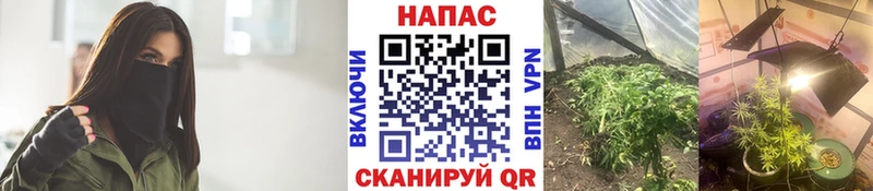 Шишки марихуана White Widow  Новокубанск 